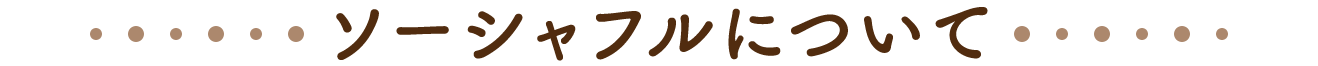 ソーシャフルについて